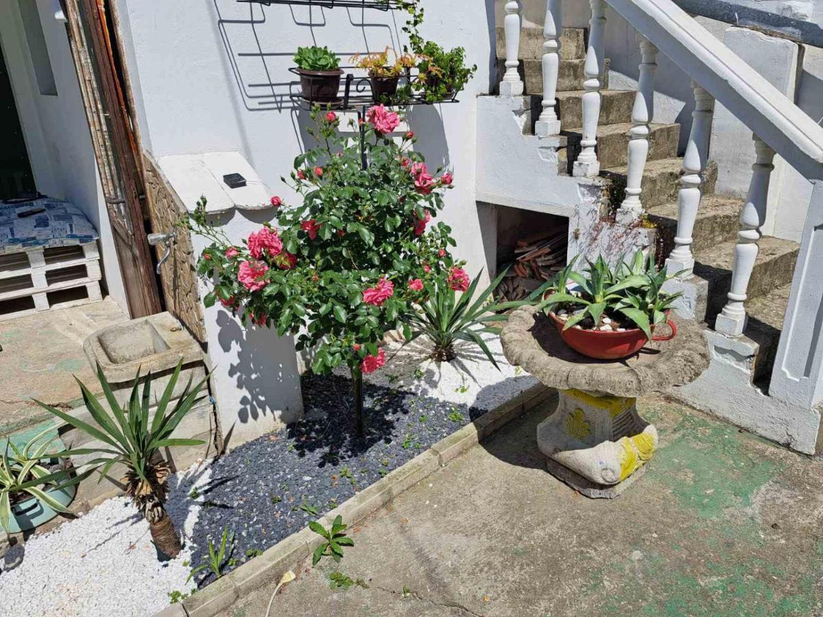 Stefan Apartman Novi Sad Exterior photo